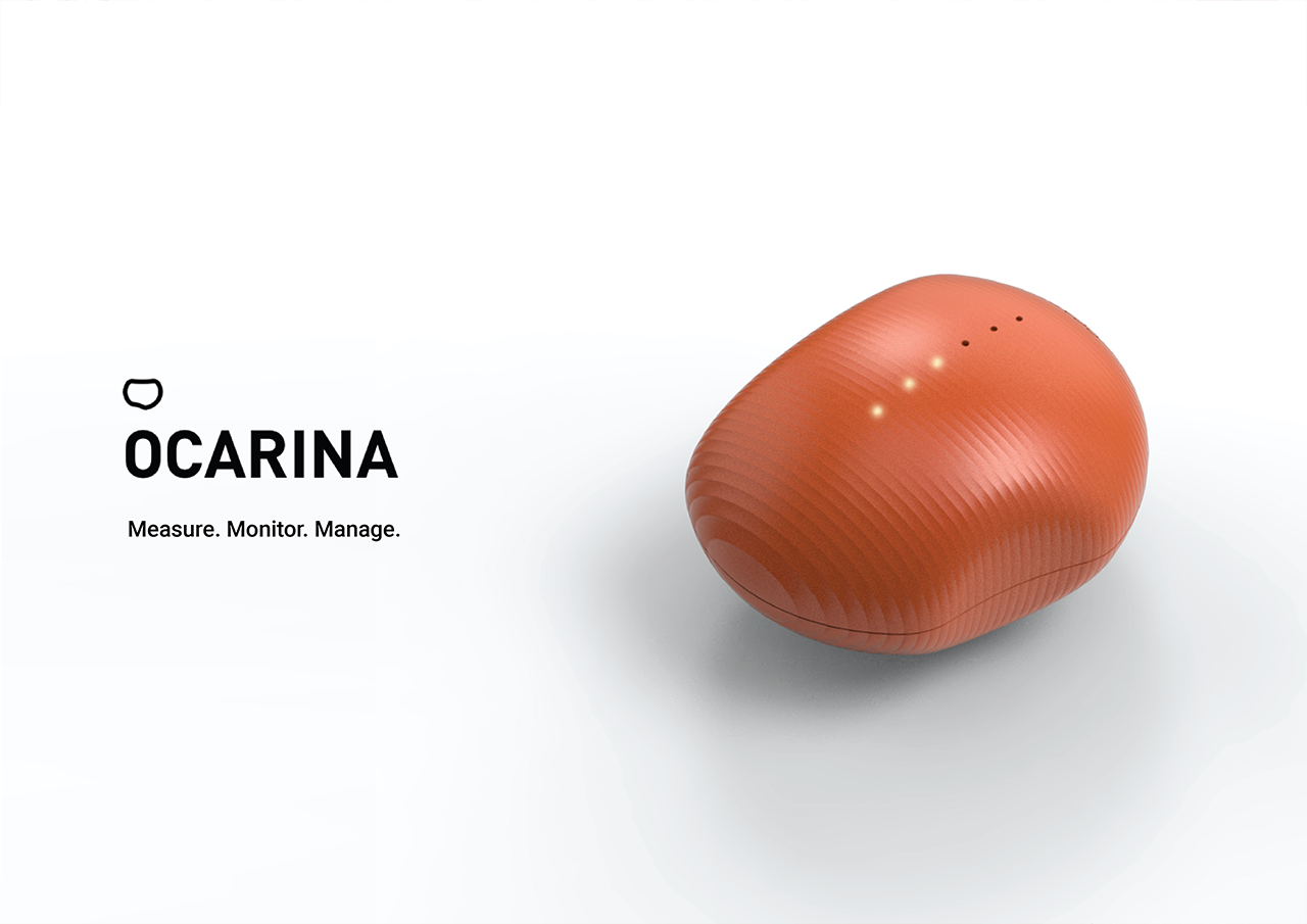 Hane Roh Ocarina final project